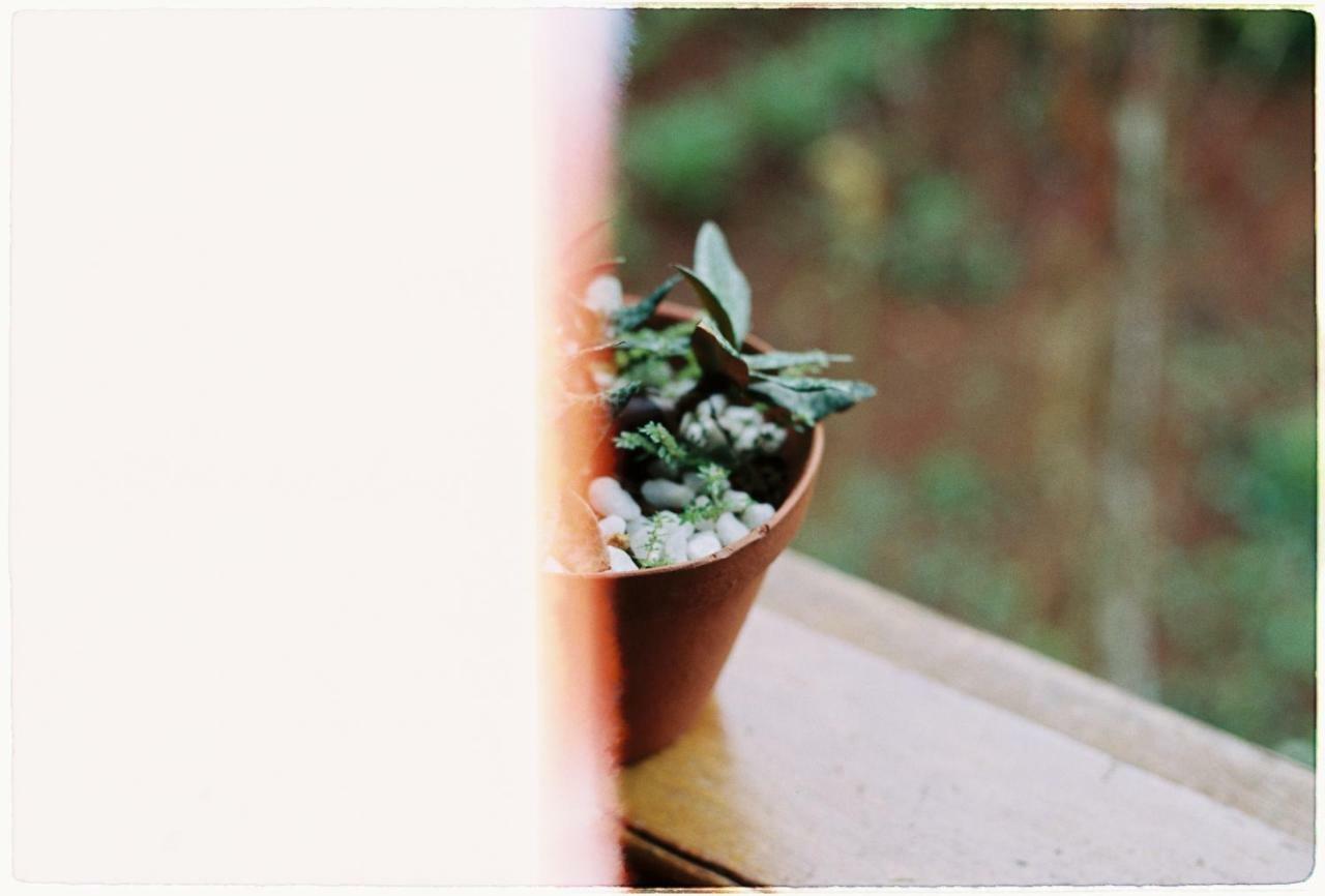 Sum Villa Homestay Mang Den Kon Von Kla エクステリア 写真